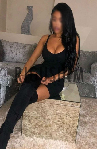 החתול הוא בלעדי ויש לו רגליים סקסיות